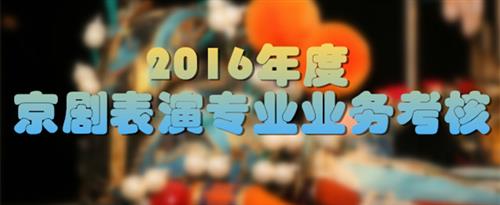 91吊逼视频国家京剧院2016年度京剧表演专业业务考...